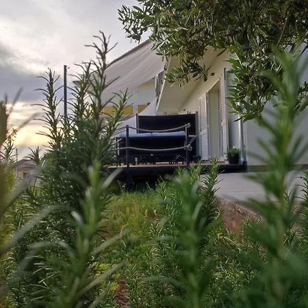 Eleven Apartment